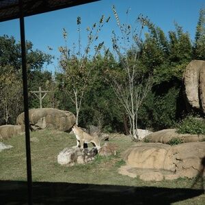 Meet your Posher, Katrina